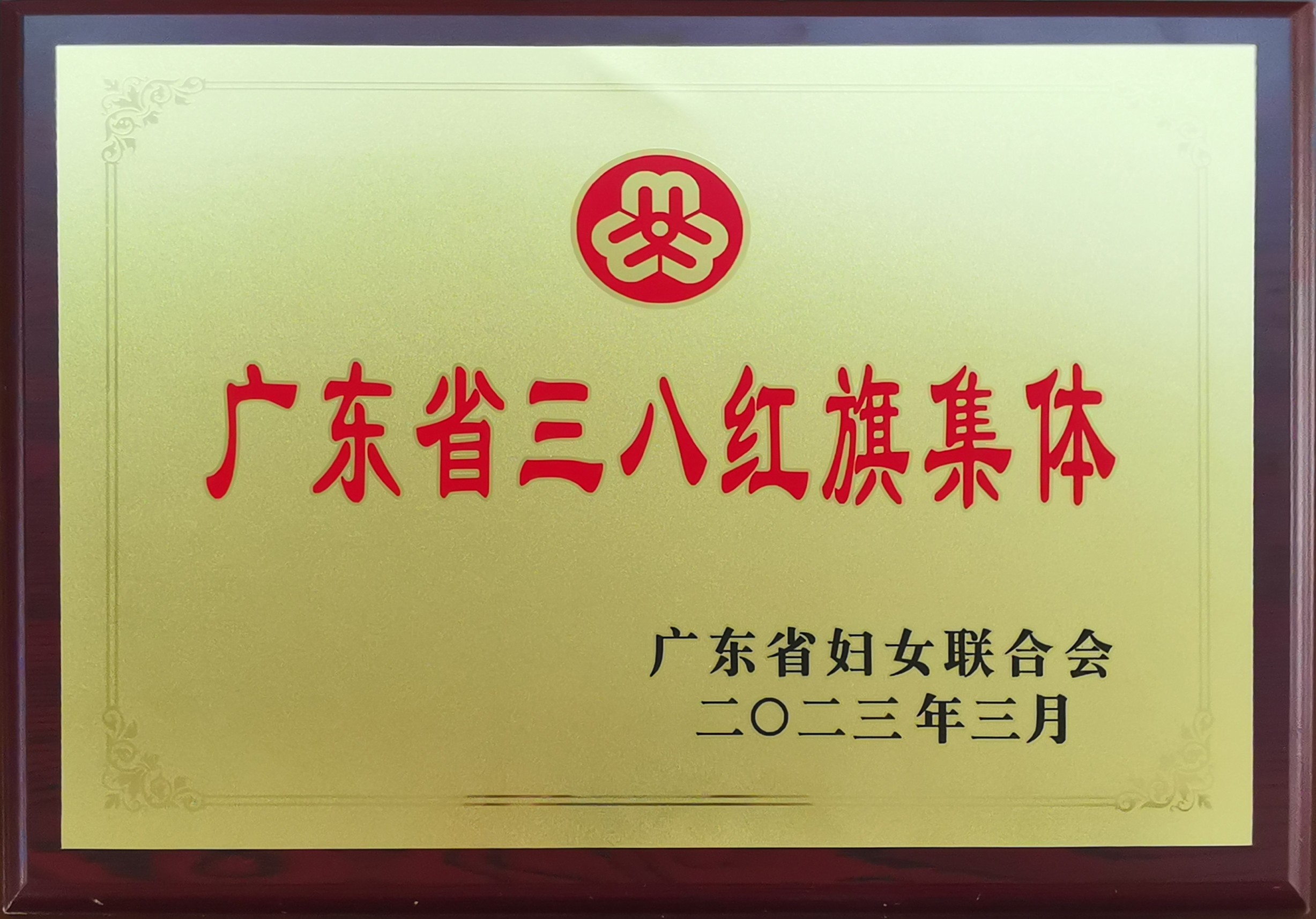荣誉资质图片