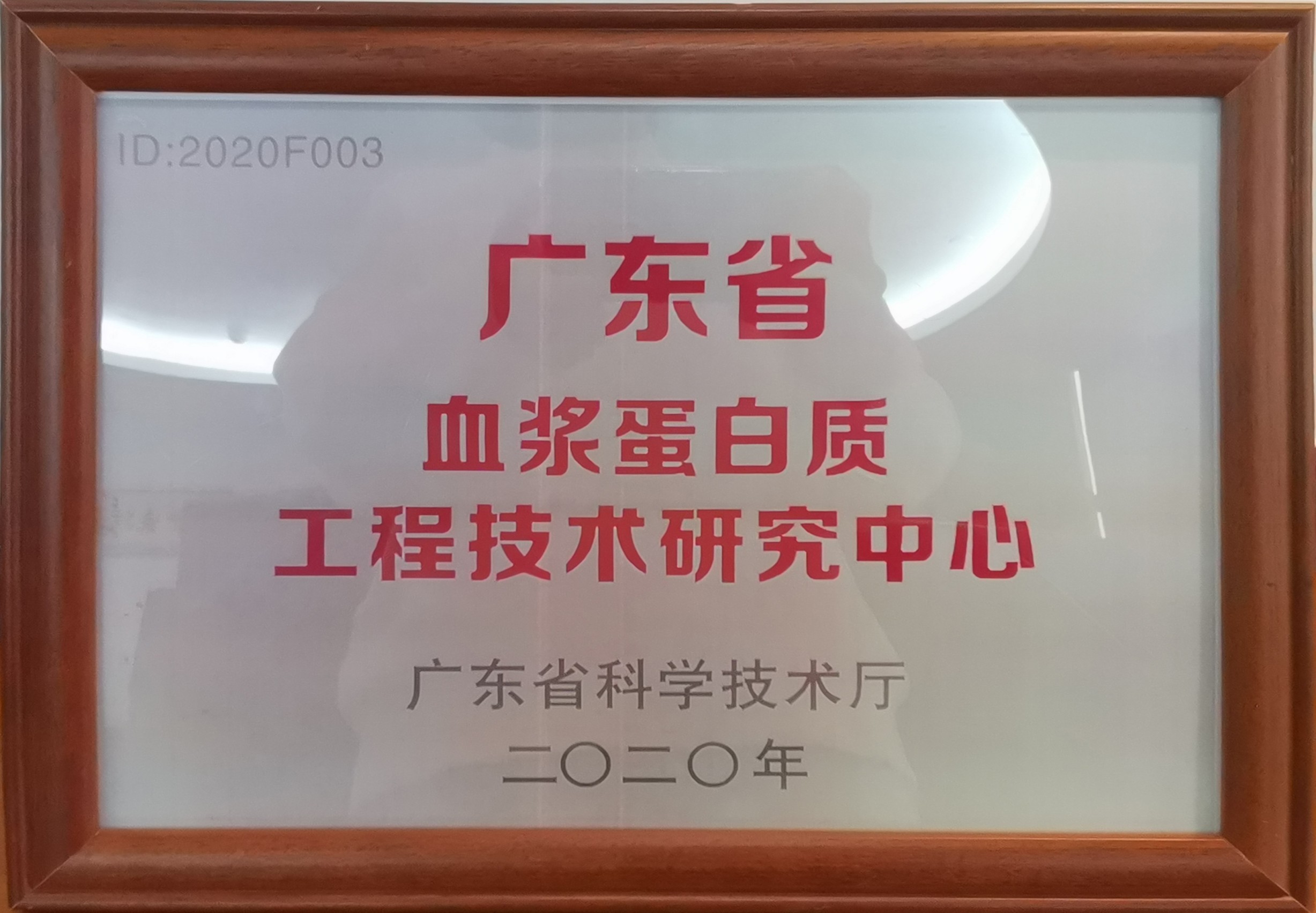 荣誉资质图片
