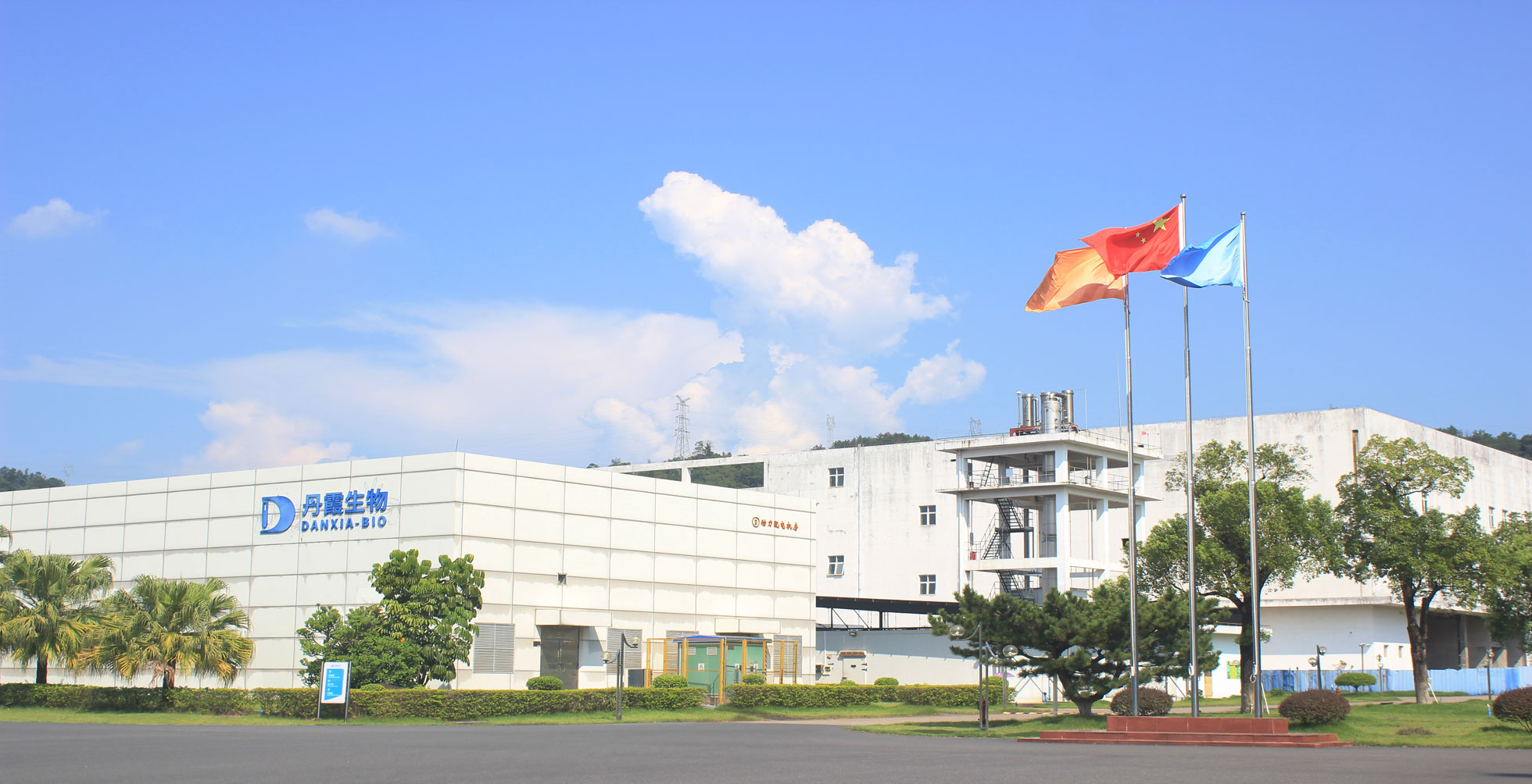banner图片